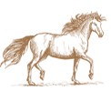 Horse