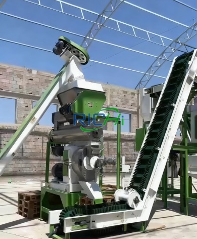 Small-Scale Poultry Feed Line in Brazil
