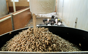 Poultry Feed Production Line Project