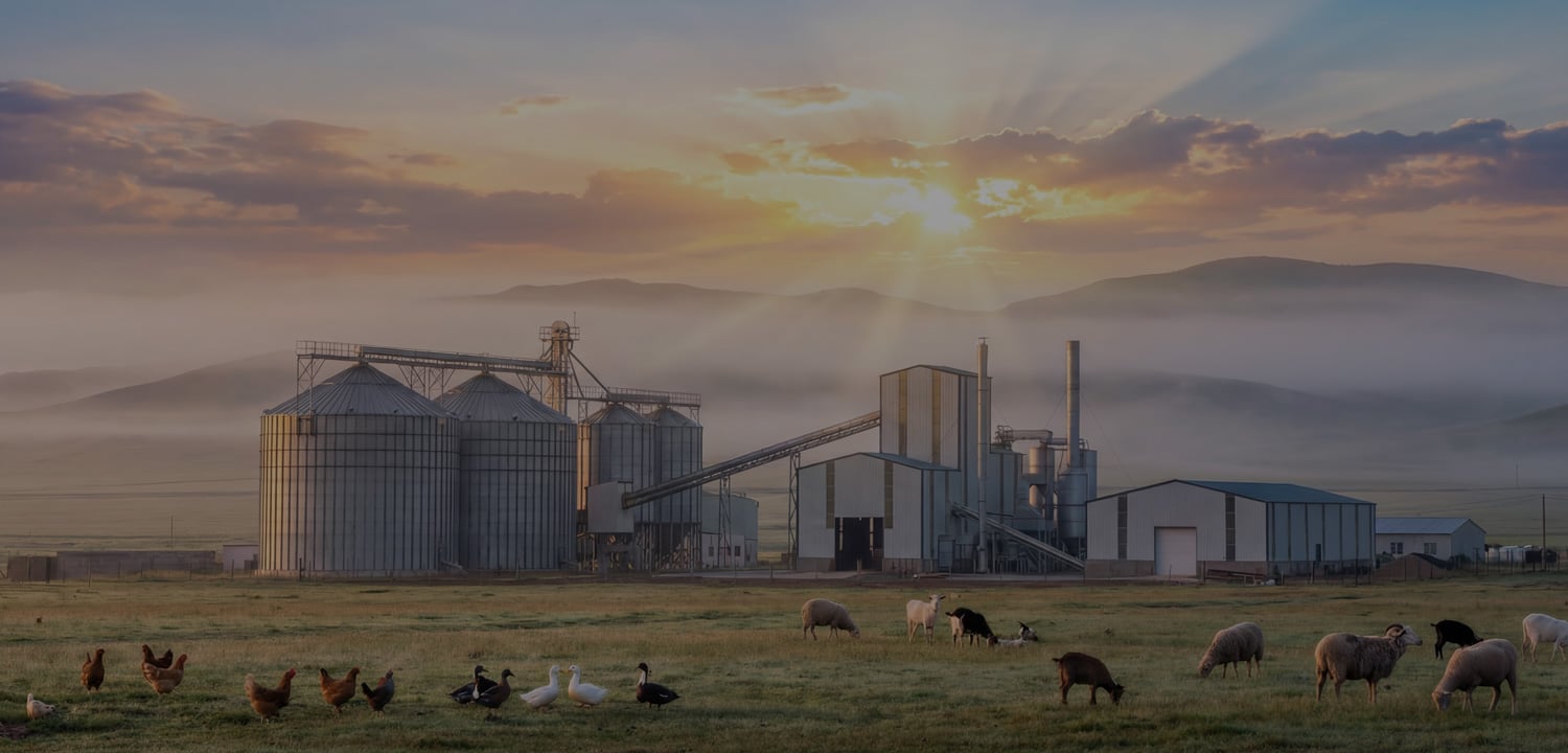Project video of poultry feed production line
