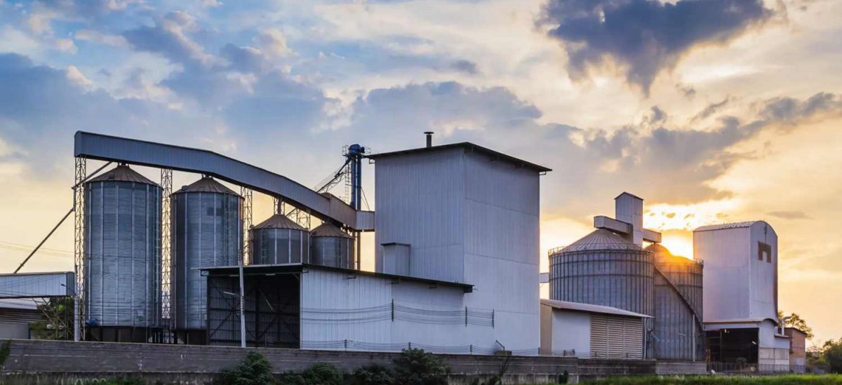 What is the approximate Poultry Feed Manufacturing Plant Cost